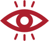 icon vision